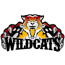 Wildcats 2024 s1 grading