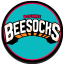 Boukie Bee Socks 2023 s1