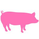 Rim Pigs 2023 s1
