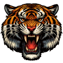Konger Tigers